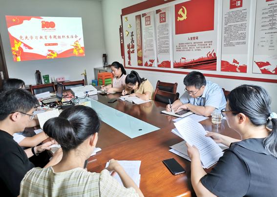 九游（体育门户）官方网站党支部召开党史学习教育专题组织生活会