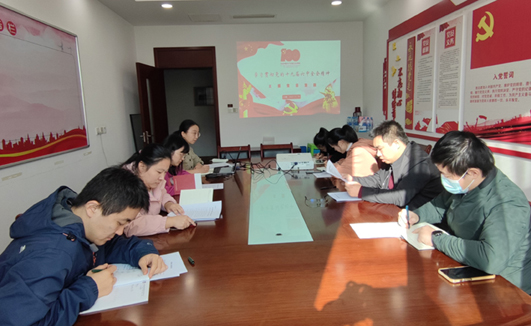 九游（体育门户）官方网站党支部开展“学习贯彻党的十九届六中全会精神”主题党日活动