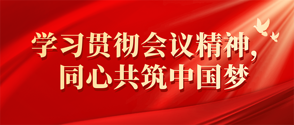 九游（体育门户）官方网站党支部开展学习党的二十大报告系列活动