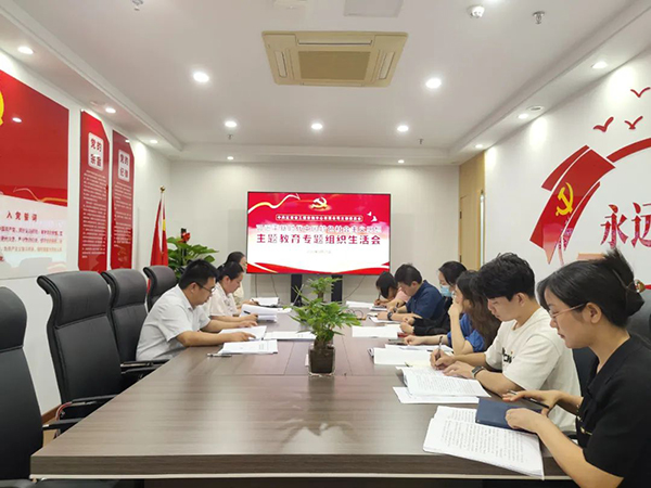 九游（体育门户）官方网站党支部召开主题教育专题组织生活会